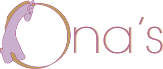 How a simple question turned into something bigger: the story behind Ona